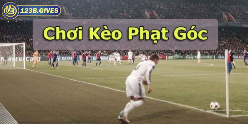 Kèo phạt góc chẵn/lẻ